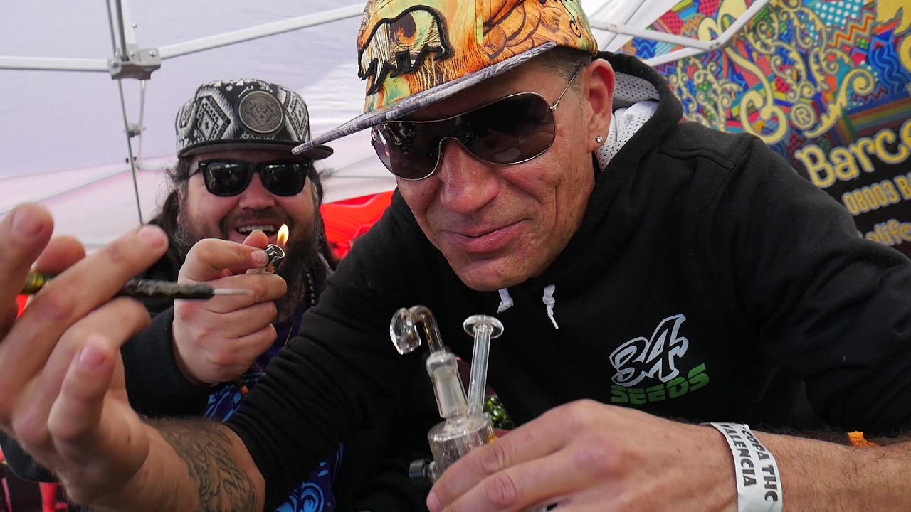 Copa THC Valencia 2017, Efectos Marihuana y Cerveza, Cannabis California - Marihuana NOW #03
