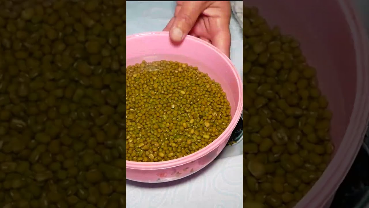 Самая вкусная Мошкичири! Узбекская кухня 🇺🇿😋#shortsuzbek #youtubeshorts #uzbekfood #moshkichiri