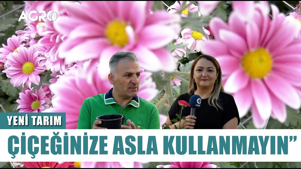 Bitkiler Kış Dönemine Nasıl Hazırlanır? Prof. Dr. Soner Kazaz Anlattı l Yeni Tarım