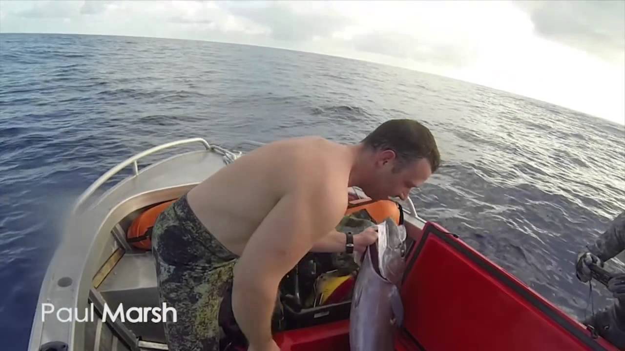 Spearfishing a Big Sailfish in the Coral Sea - Apnea Chasse Caza Sub