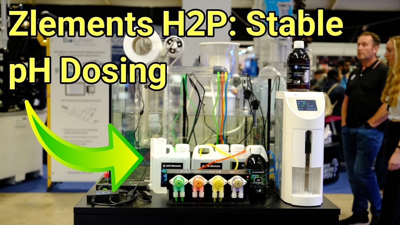 Reef Zlements H2P Dosing System: Stable KH & pH Dosing | AquaH