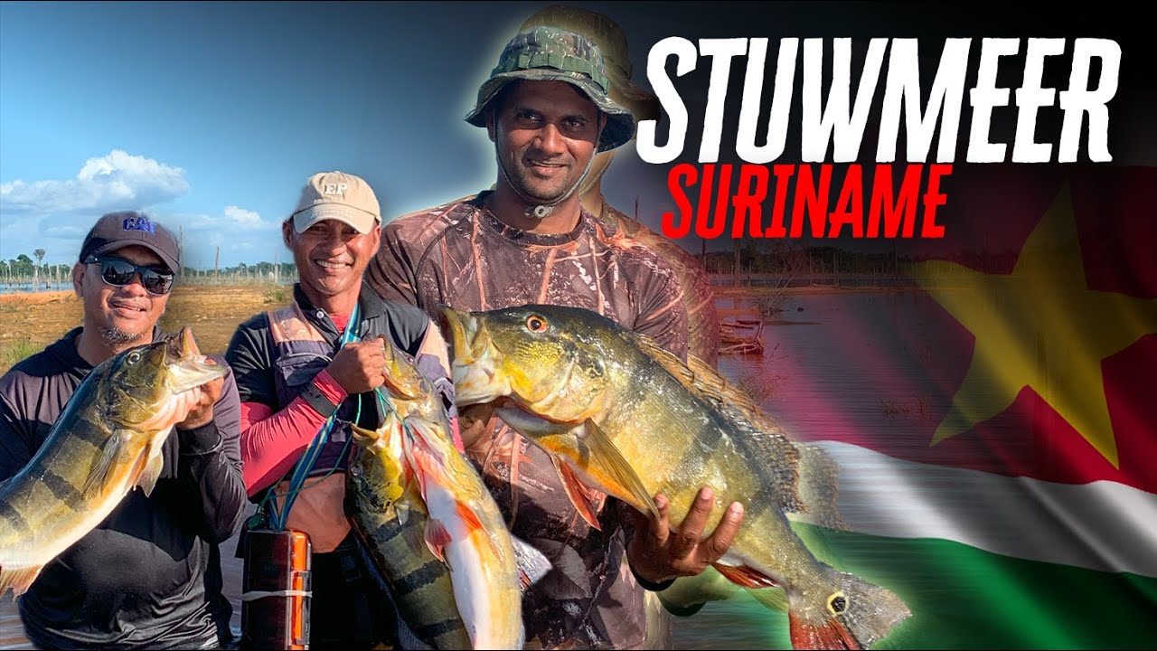 🇸🇷 Suriname Peacock Bass Fishing 🎣 | Stuwmeer Brokopondo Adventure