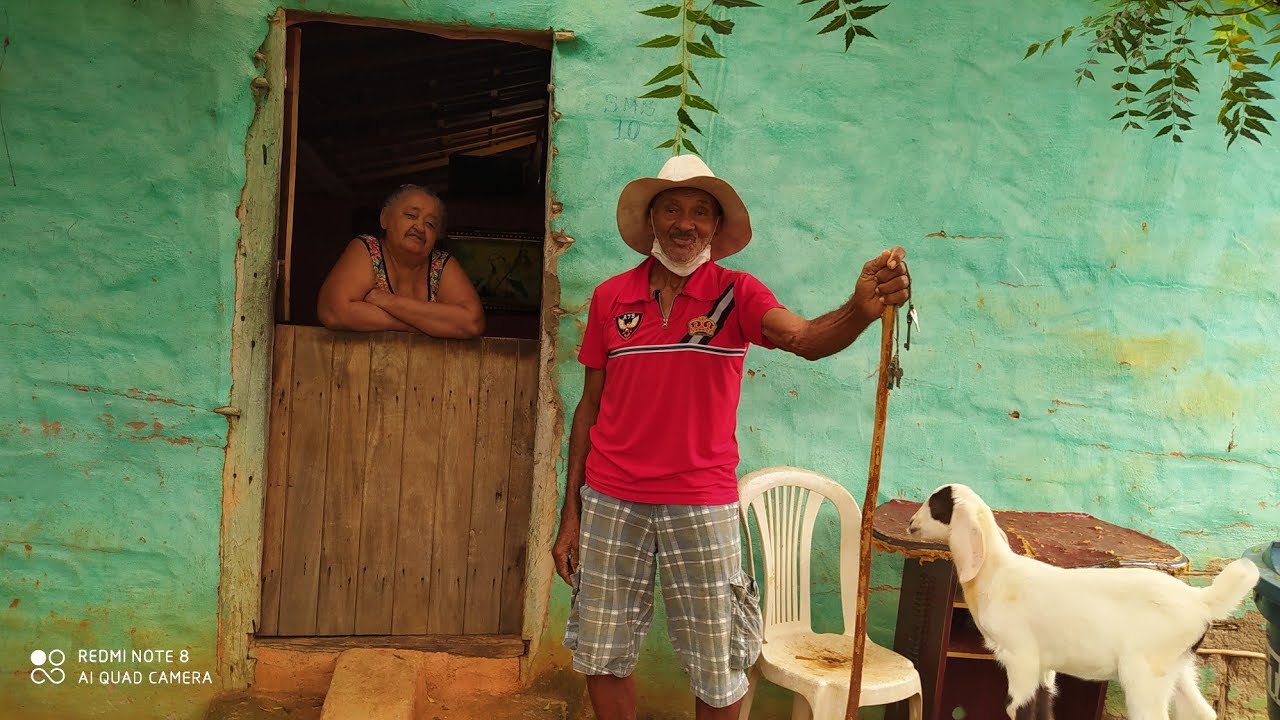 NA ROÇA DE MILHO DE SEU ANTÔNIO BEM VINDO, VERDEJANTE PERNAMBUCO BRAZIL