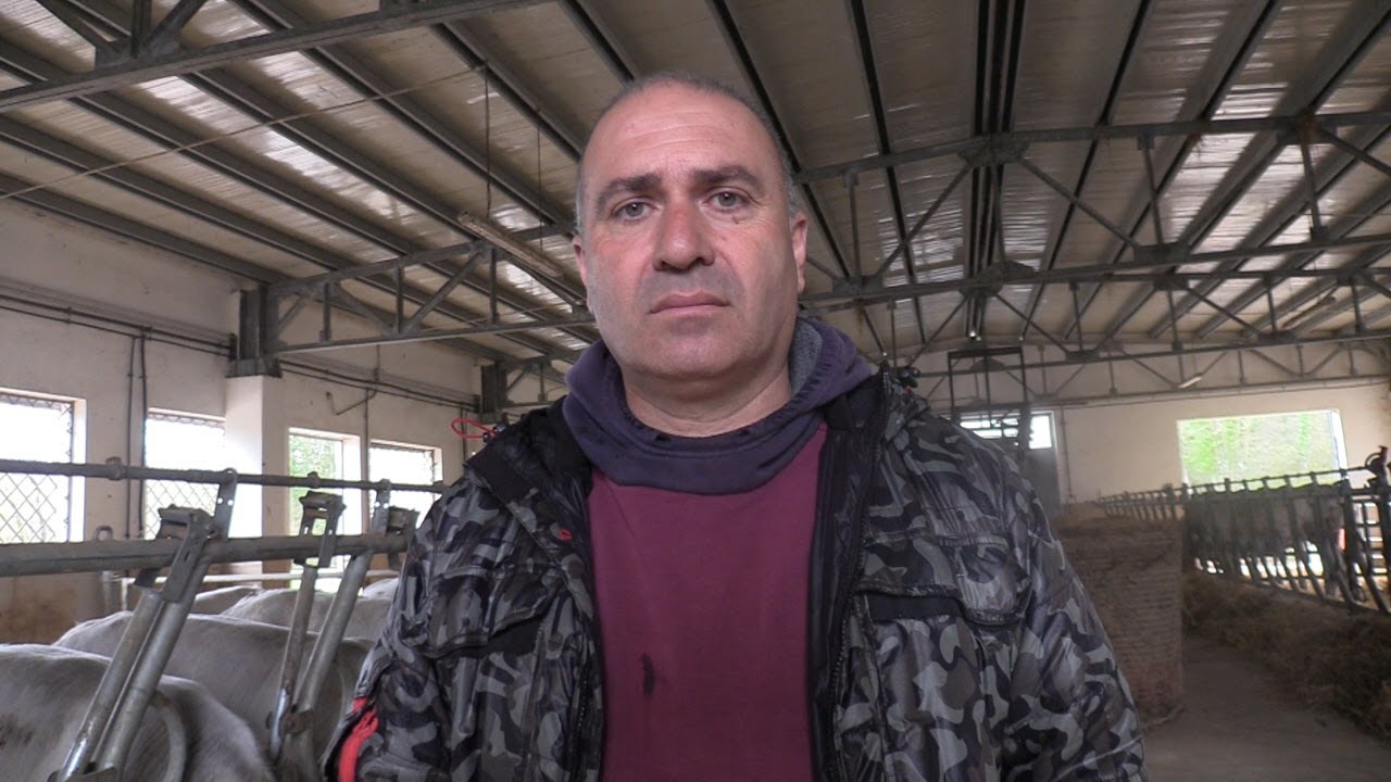 Storie - Guglielmo Lauro, l'allevatore di bovini che combatte la sua battaglia contro Il Pnalm