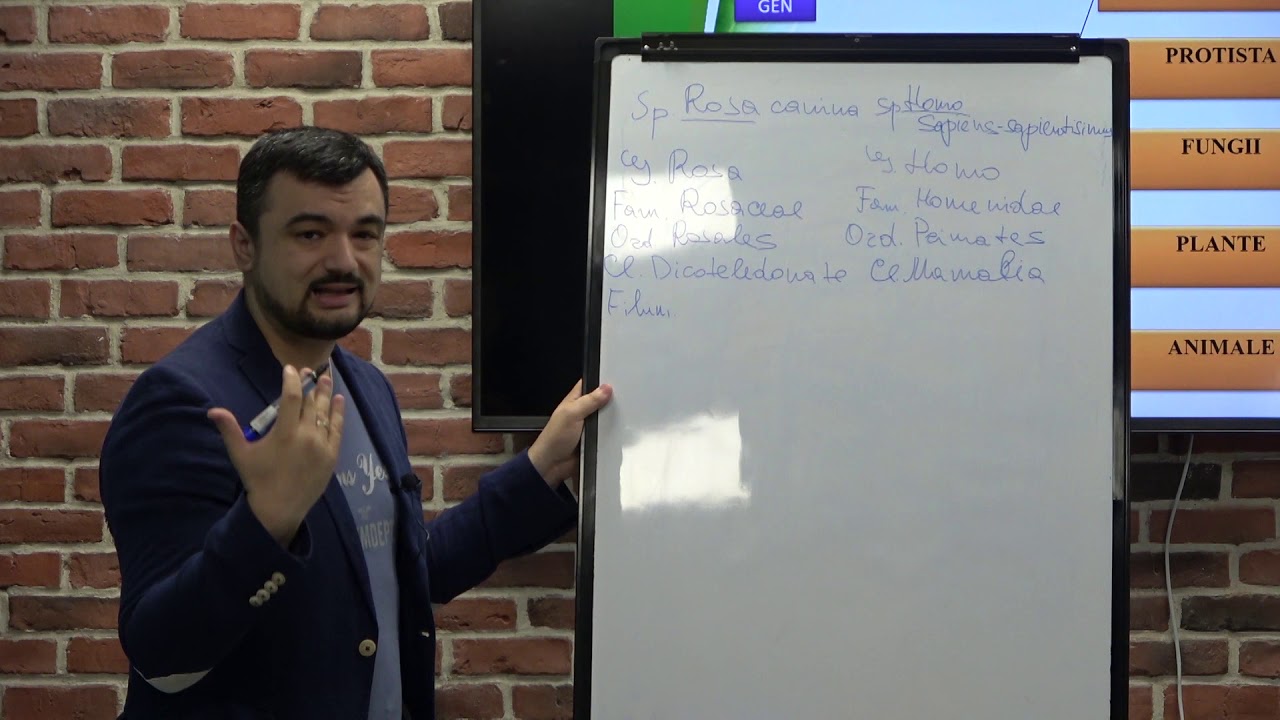 Pregătire de BAC la Biologie Lecția 4: Principii de clasificare a organismelor.