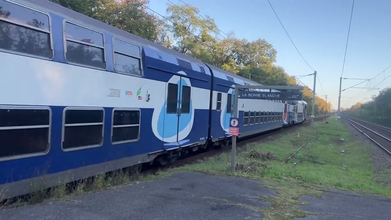 Compil’ de trains à la gare de La Borne Blanche