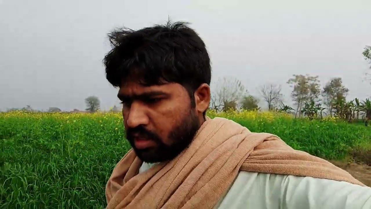 Ashraf pendu 👉 🌾👈 سرسوں کا تیل استعمال 