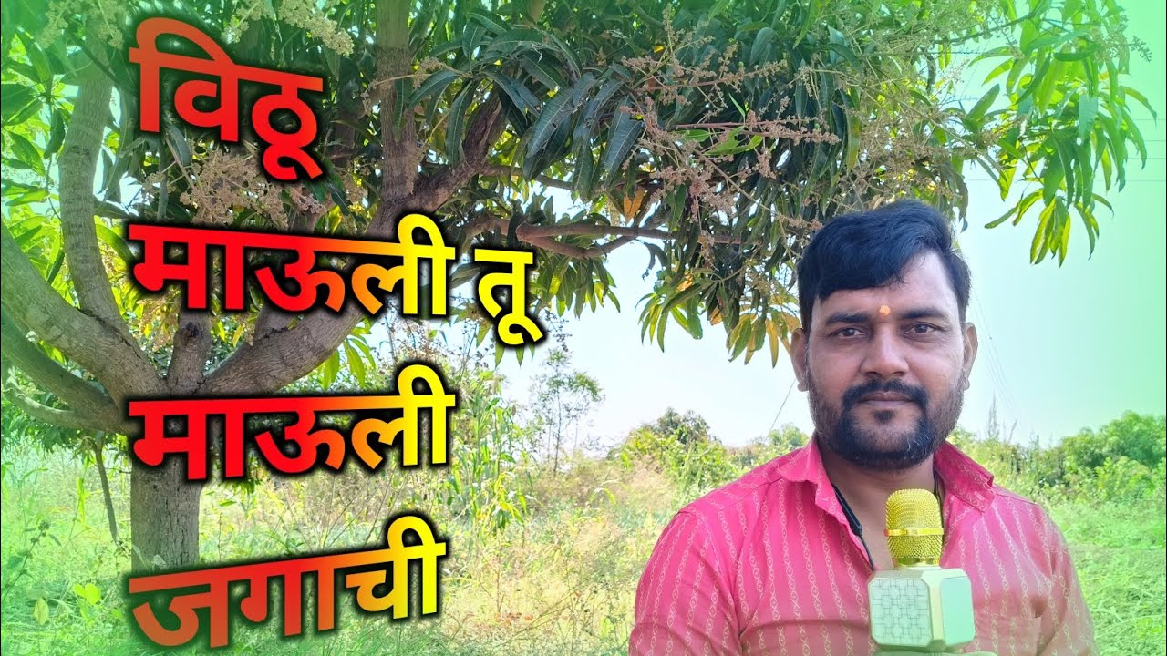 विठू माऊली तू माऊली जगाची 🙏