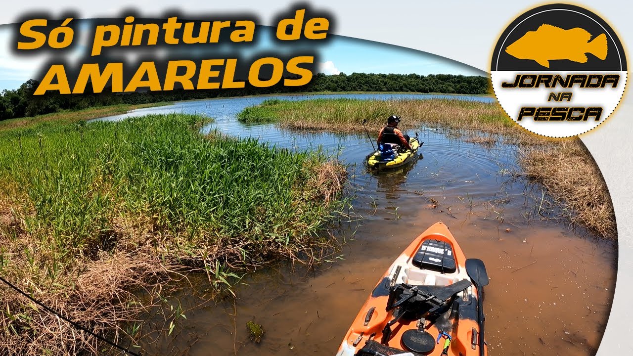 Em busca do Bitelo Amarelão de Itaipu - Pescaria de caiaque com guia Ricardo Sanches