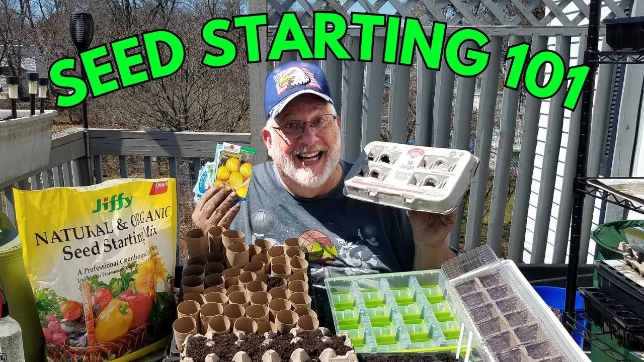 SEED STARTING 101: Everything You Need to Know to Start Seeds Like a Pro! 🌱