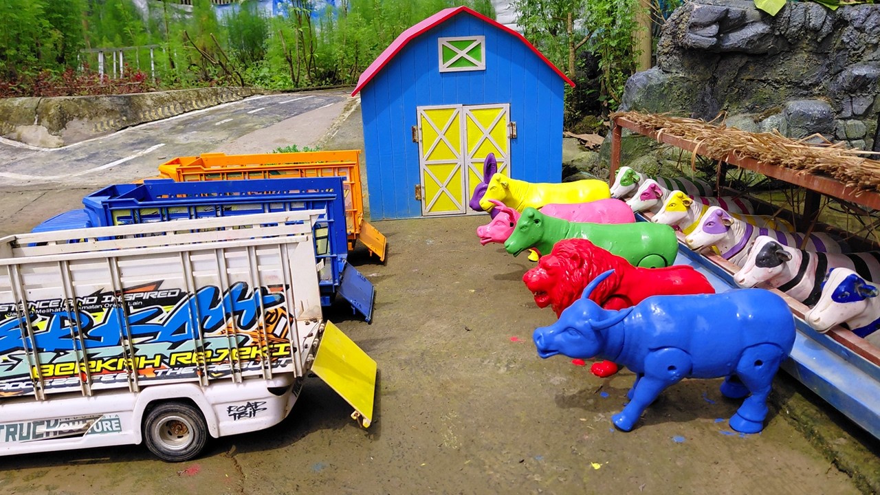 Wadidau‼️Proses Potong Sapi Kurban & Kerbau Lucu - Truk Oleng Angkut Sapi Kotor #153