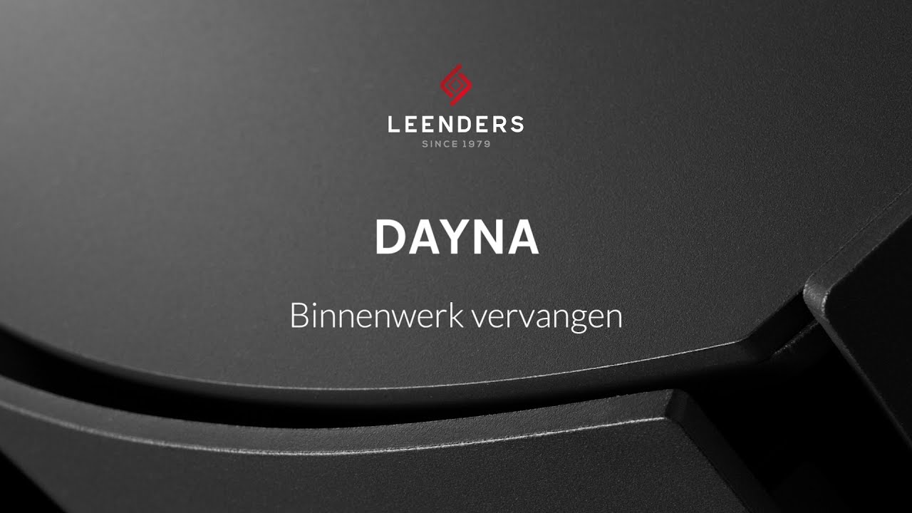 Dayna - Binnenwerk vervangen
