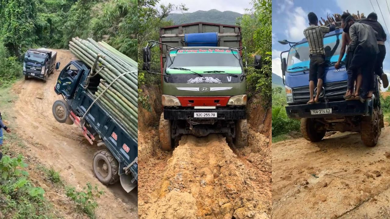 Xe Tải Bóp Kèn Đại Chiến Kèn Ong Vàng, Kèn Basuri Cực Hay