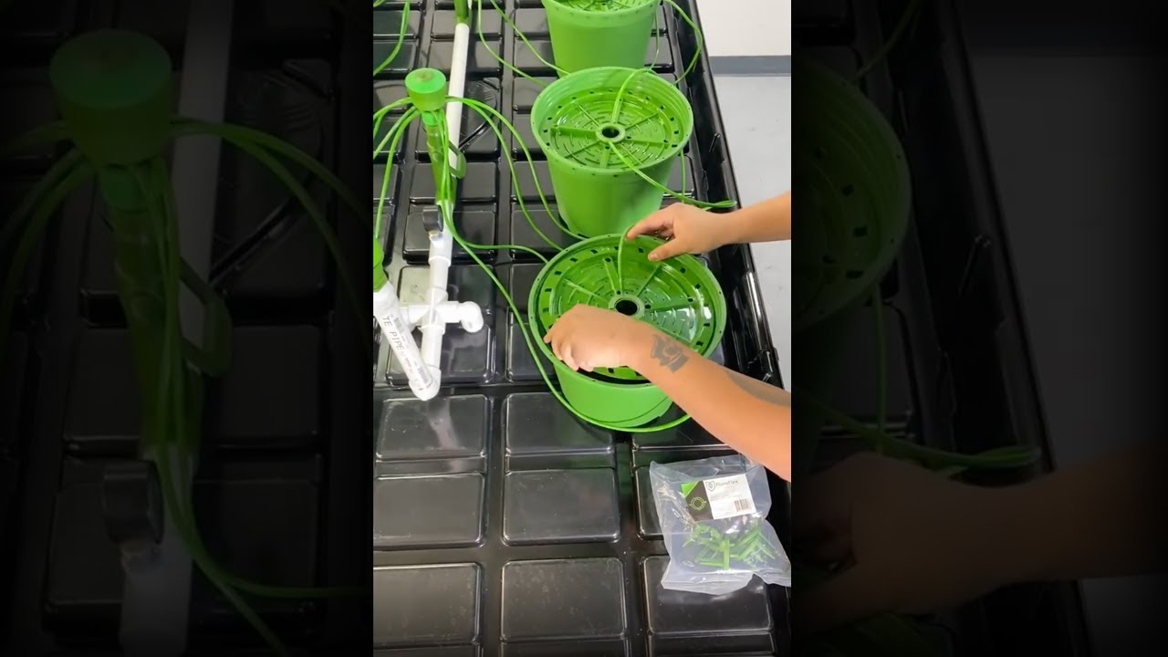 3 Gal PotPro &bull; 9-10.5