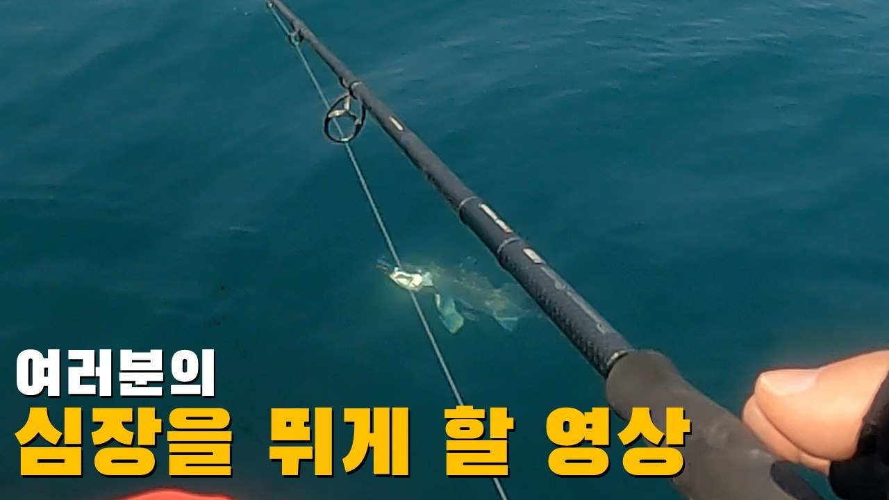 이걸보고 낚시하러 당장 뛰쳐나가지 않으면...발앞에서 쾅! 도파민이 심장강타 중.#fishing #낚시 #포항낚시포인트 #광어 #농어