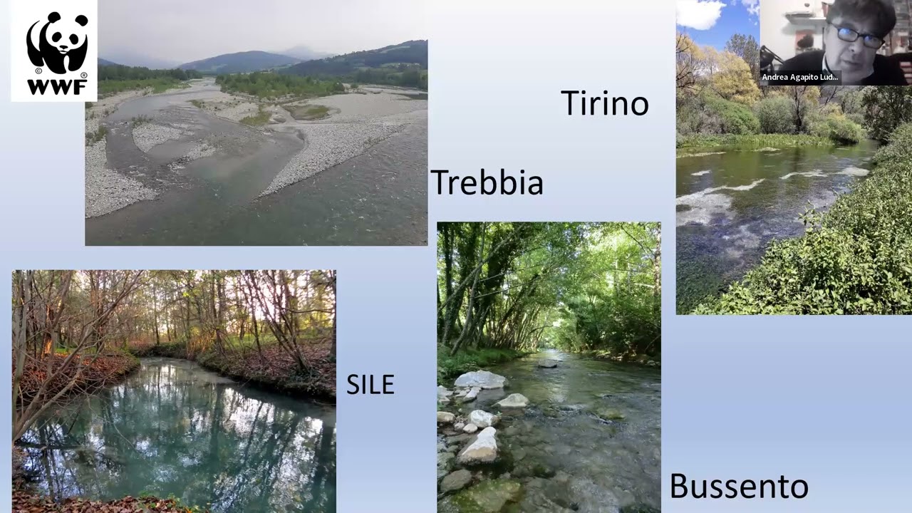 La gestione preventiva dei rischi ambientali: alluvioni, siccità e incendi