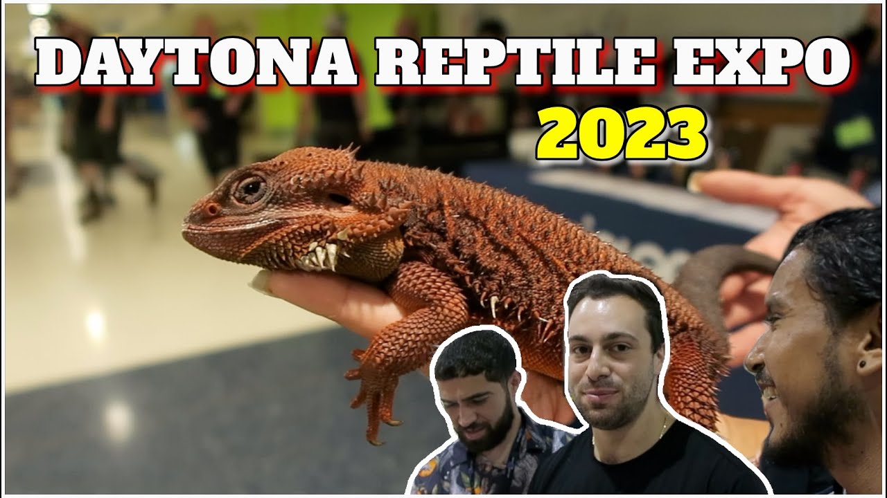 Daytona's National Reptile Breeders Expo 2023 In Florida! My Full Trip