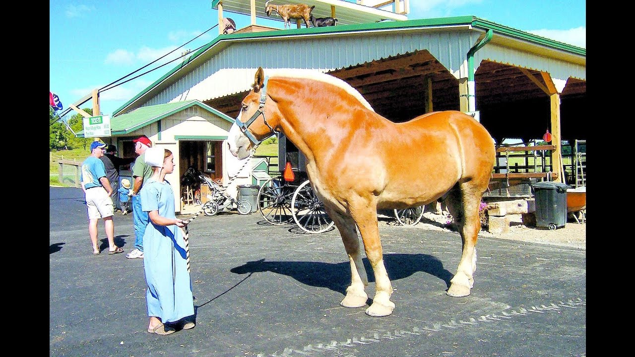 The Hershberger Farm @ Charm Ohio USA