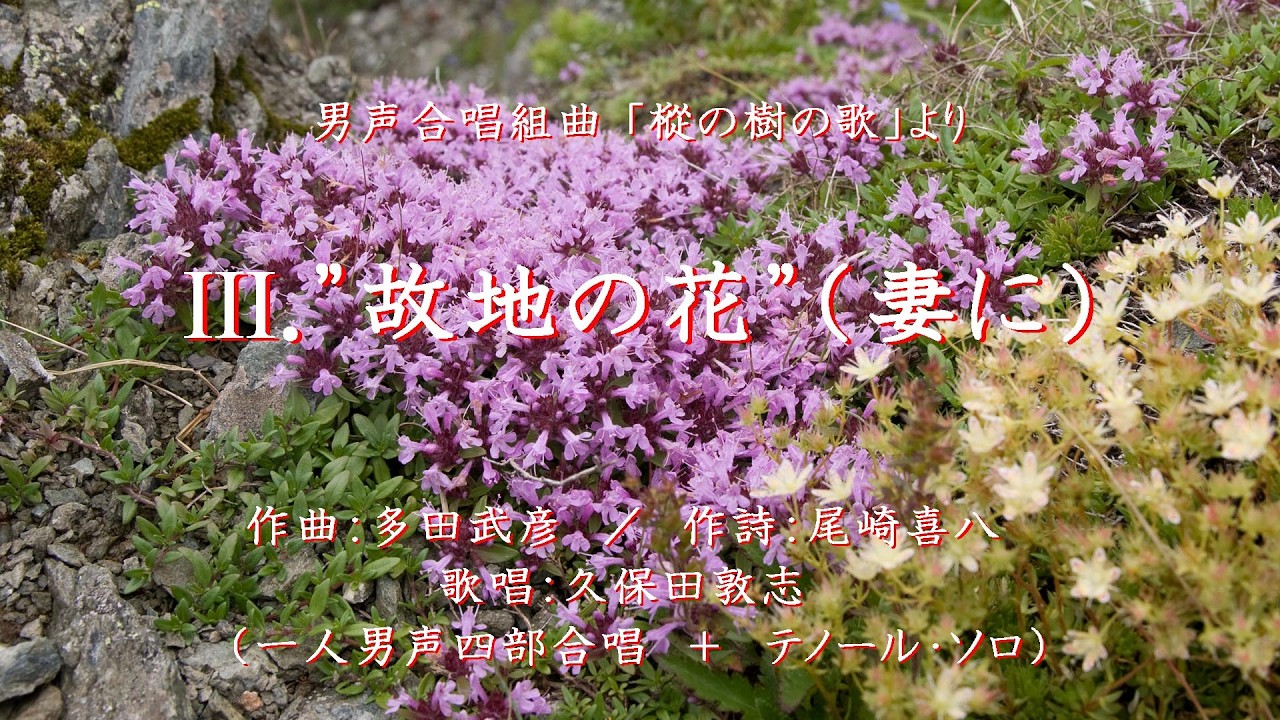 Ⅲ．”故地の花 ”（妻に）　男声合唱組曲「樅の樹の歌」より　（作曲：多田武彦　／　作詩：尾崎喜八）
