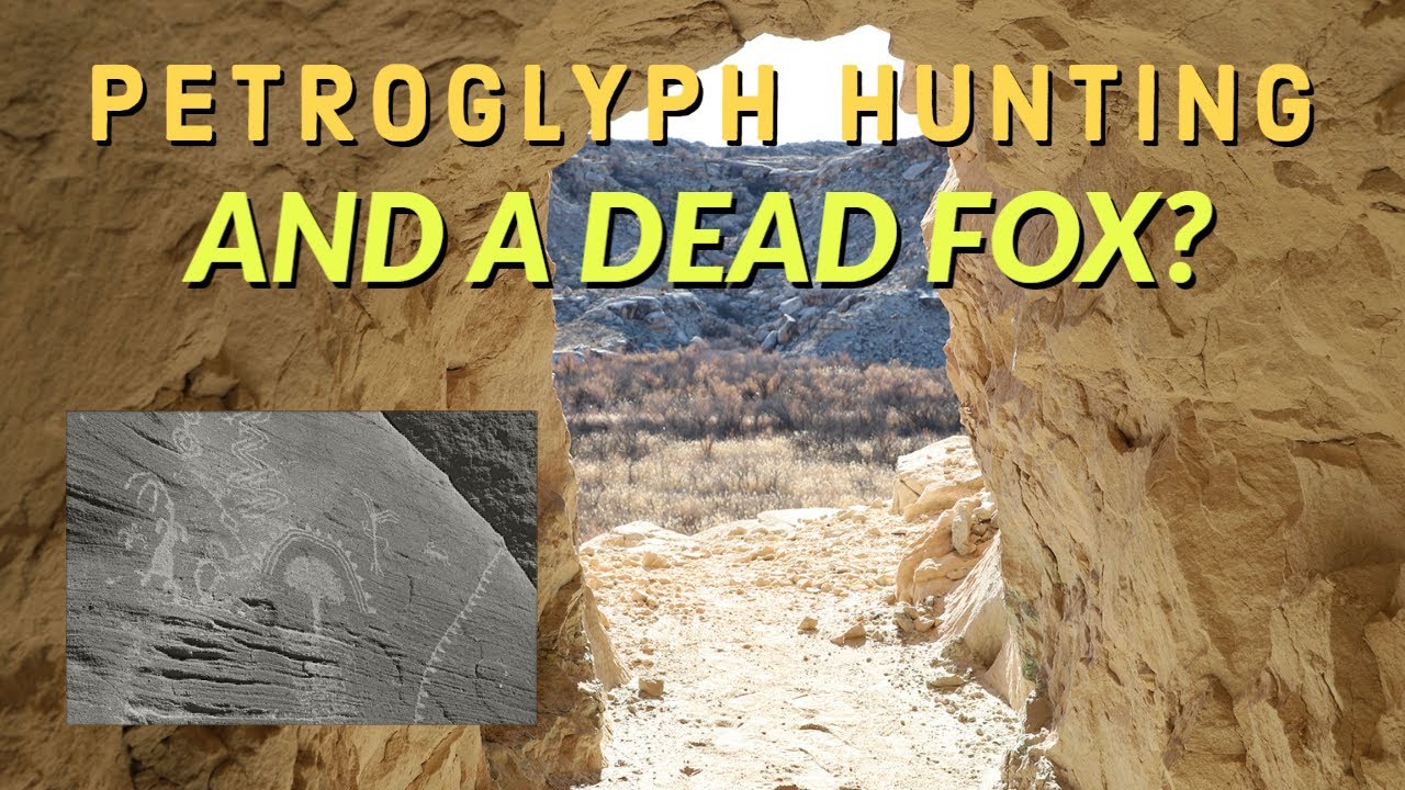 Petroglyph Exploring and Another Dead Fox?