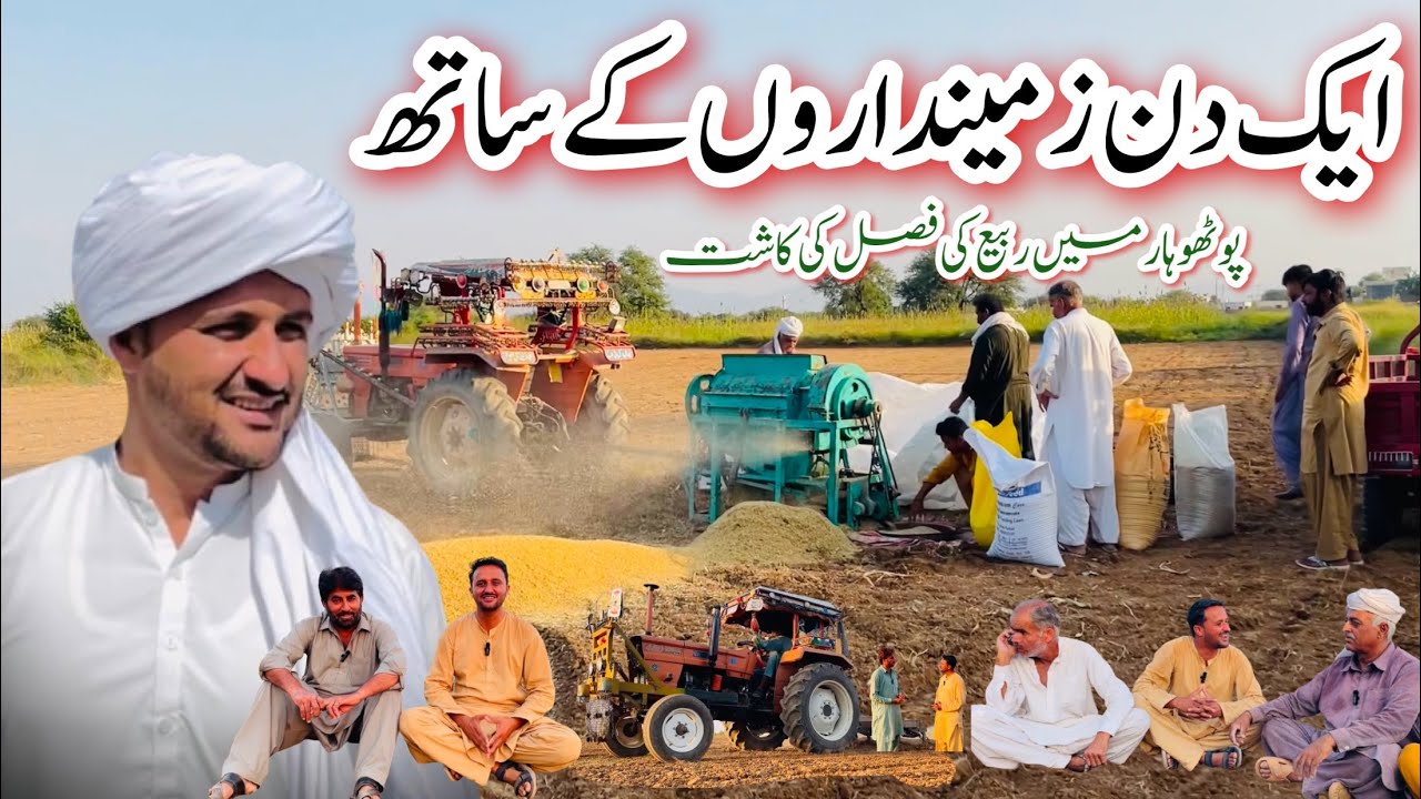 Wheat Cultivation Begins in Pothwar | A day With Pothwari Farmars 