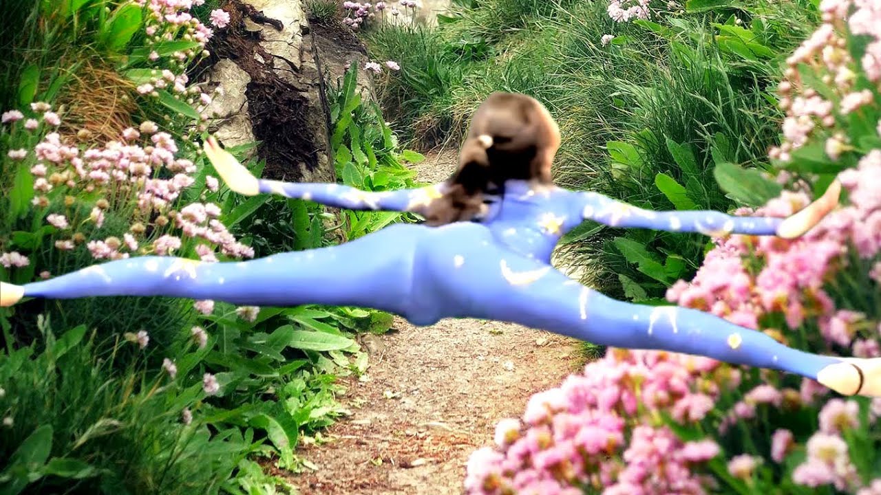 R Insane Contortion Act Flexibee