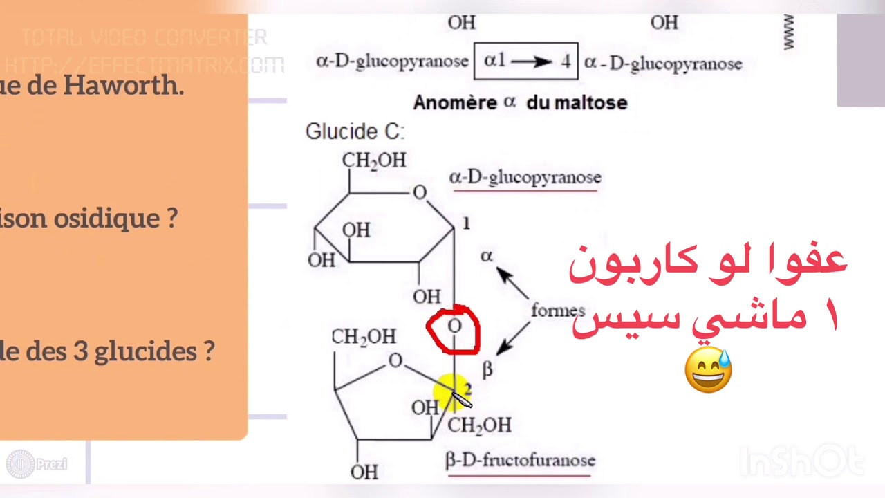 Exercice 1 [glucides SV3]