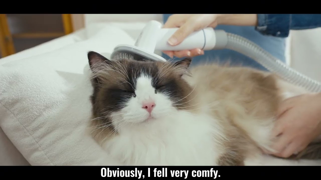 Oneisall Cat Grooming Clippers Kit and Vacuum