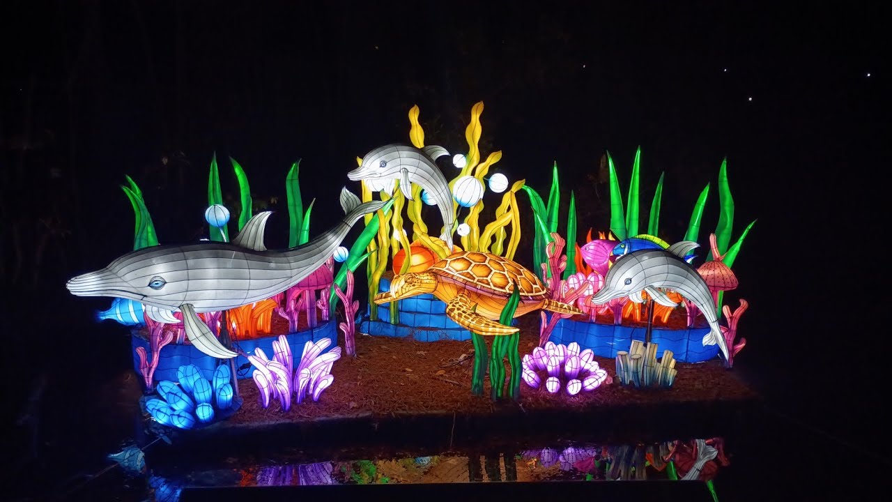Illuminight at Zoo Atlanta | 2 Full Walkthrough | Zoo Atlanta