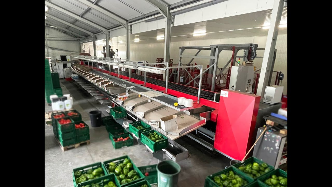 Aweta/Taks - Complete pepper unloading, sorting and palletizing Installation