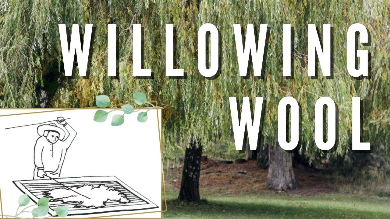 willowing wool and alpaca for handspinning yarn