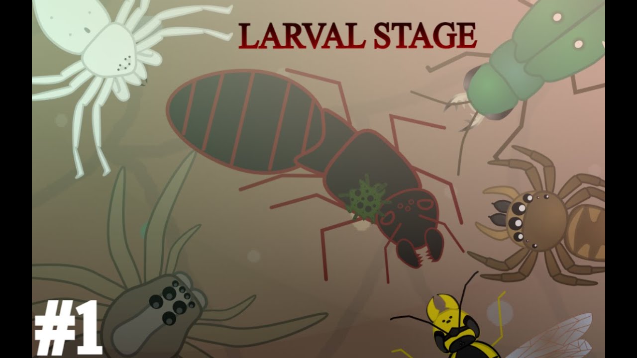 Scratch's Arthropods Series #1 