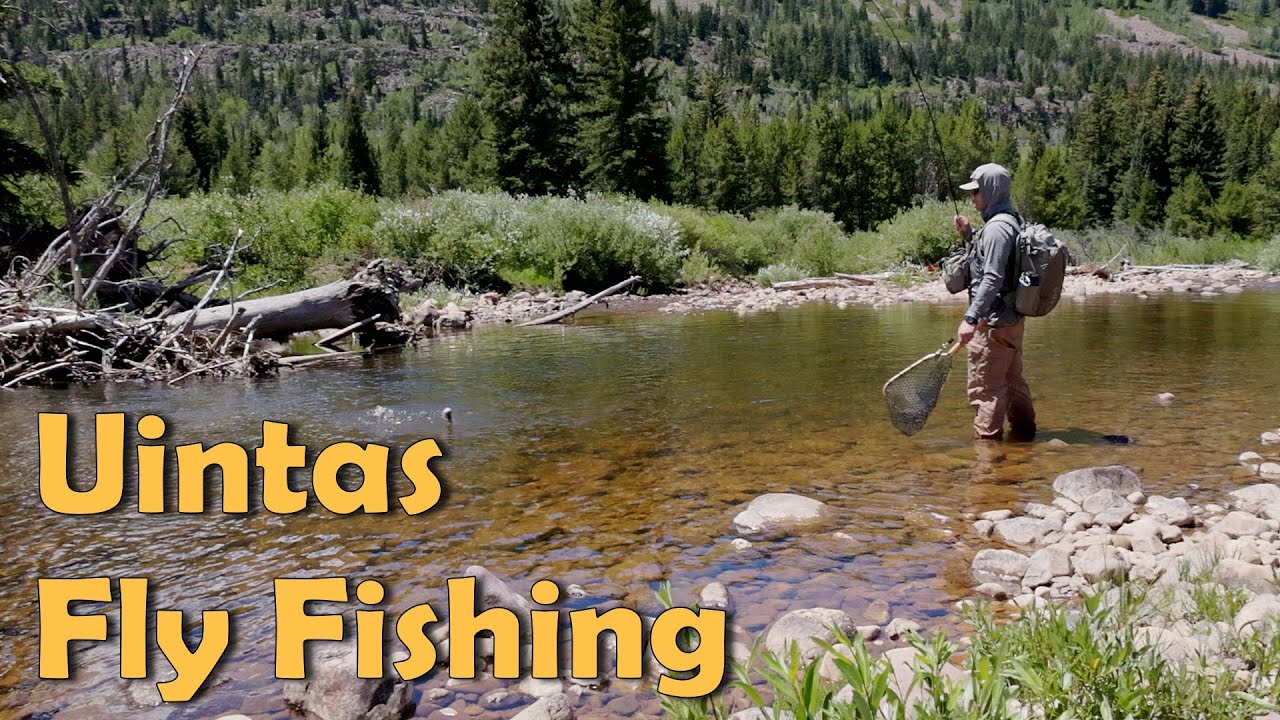 Jumping Around Spots Fly Fishing the Uintas