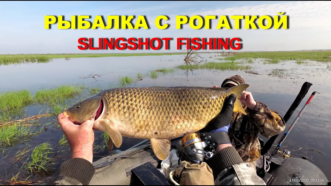 Рыбалка с рогаткой на сазана. SLINGSHOT FISHING