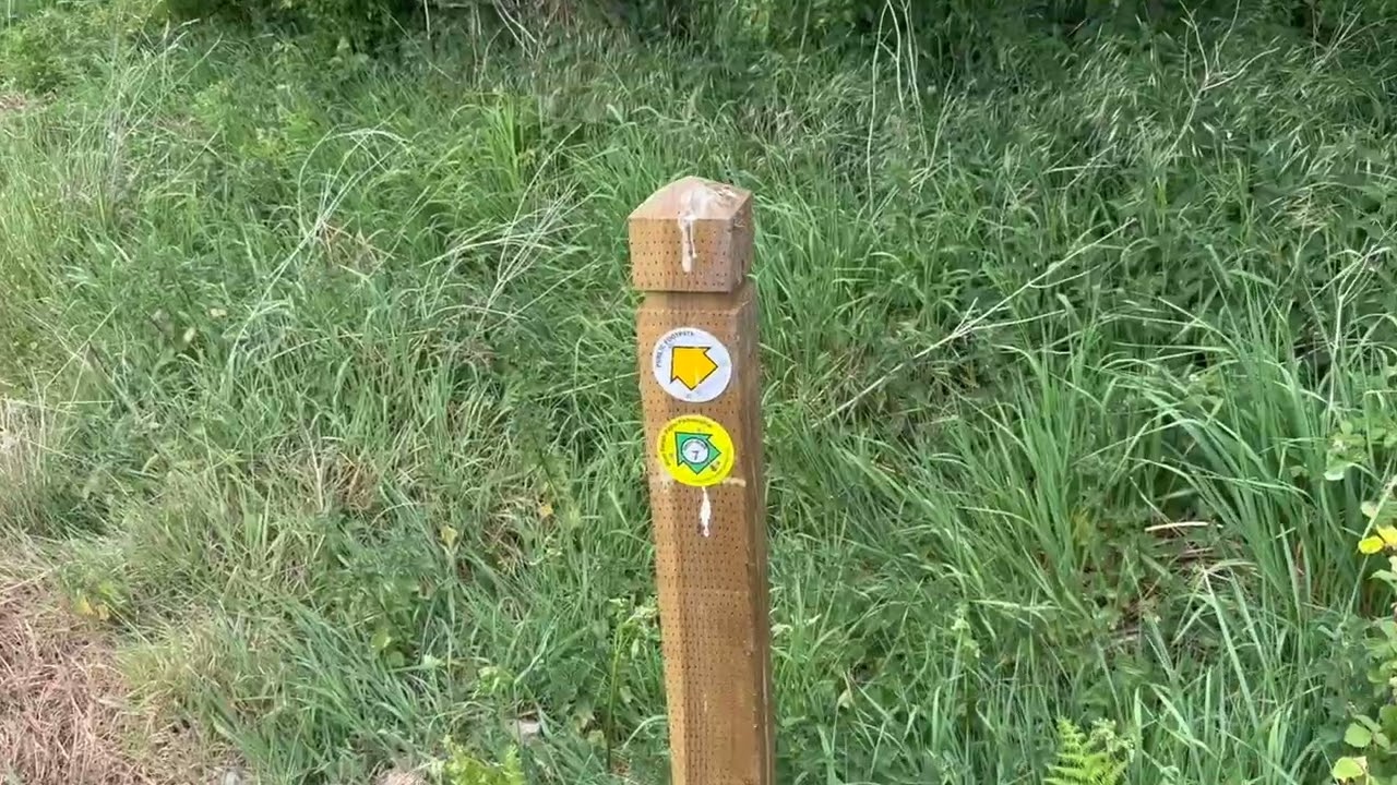 NEW Wem Walk 7 - North Shropshire