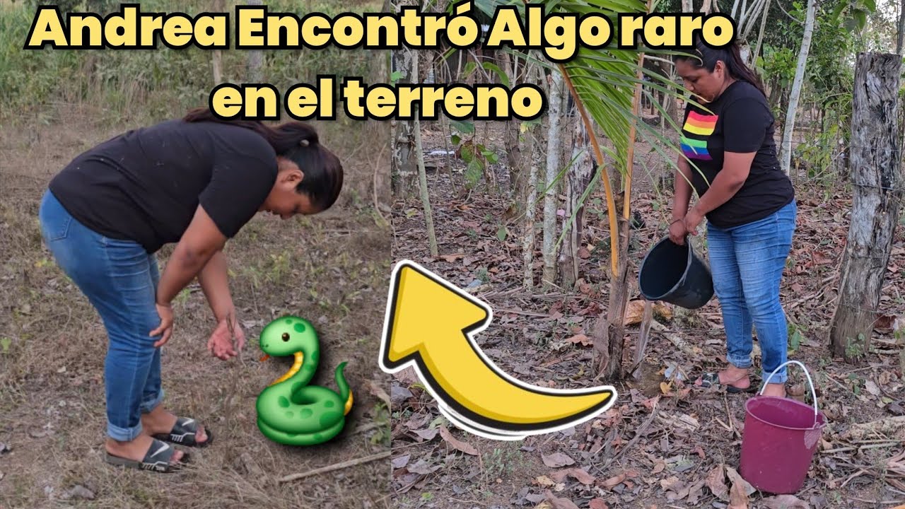🚨por Esta razón Andrea ya no Contruira🤔Algo Salio Mal⁉️