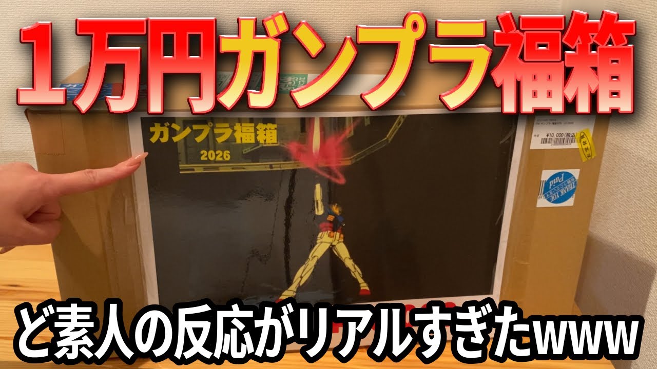 【ツッコミ王に】ど素人が１万円ガンプラ福箱開封した結果…【なるのはあなた】