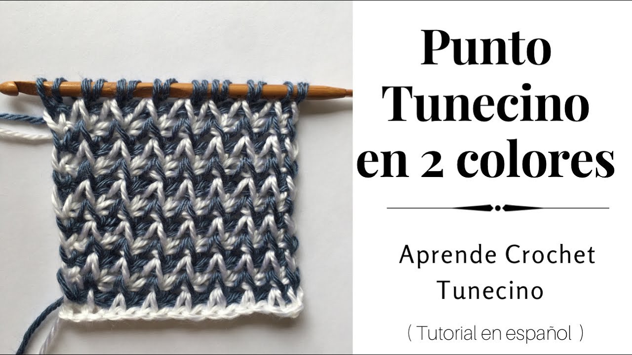Aprende Puntos Tunecinos: Punto Tunecino Doble en 2 colores