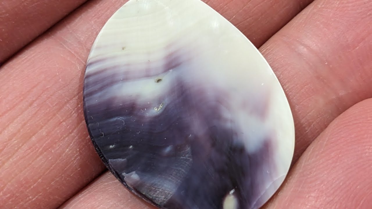 Turning a quahog shell into wampum