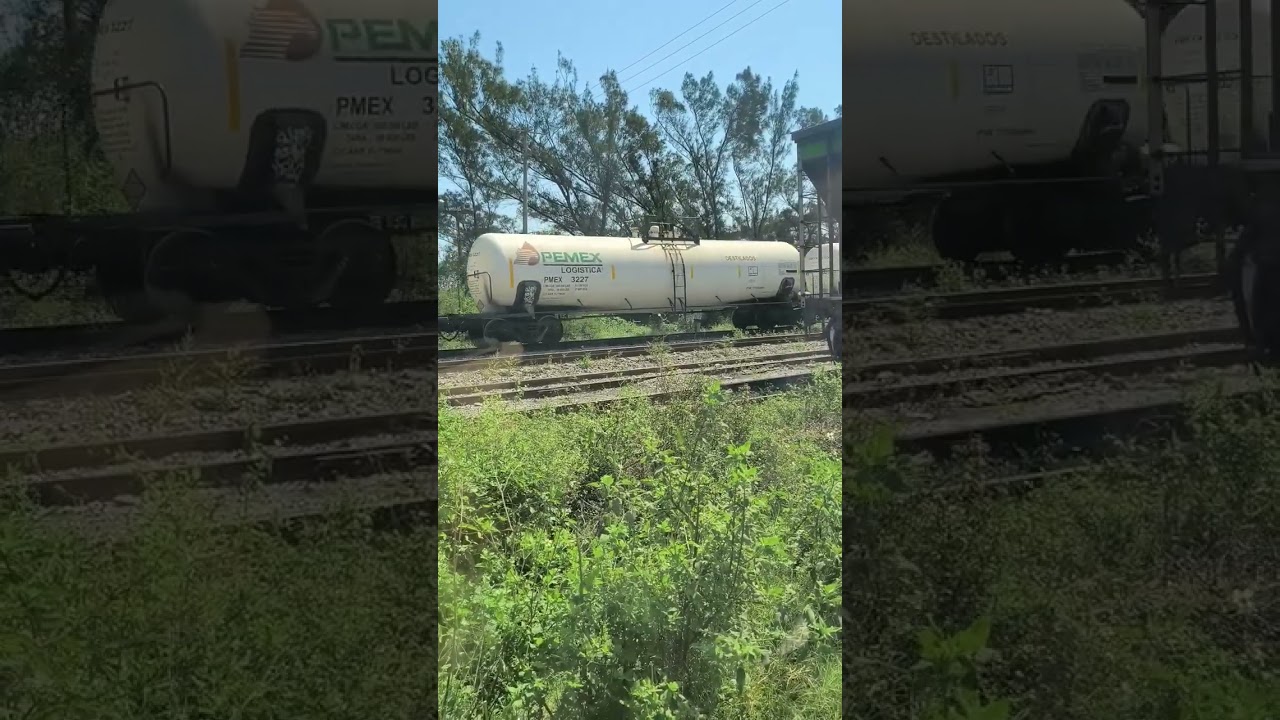 Las Super Chibonitas Cm44ah que existen La Kcsm 4618 Con un Silbato de Ns RL K5LA 