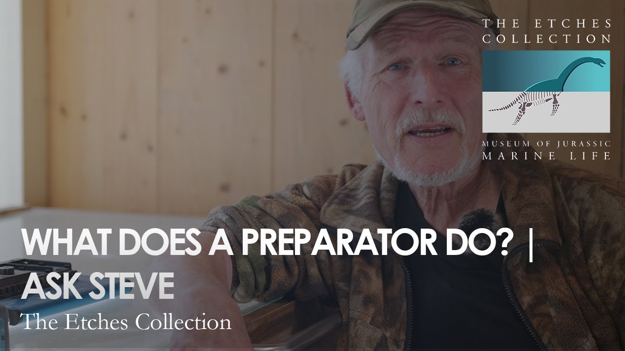 WHAT is a fossil preparator? | Ask Steve