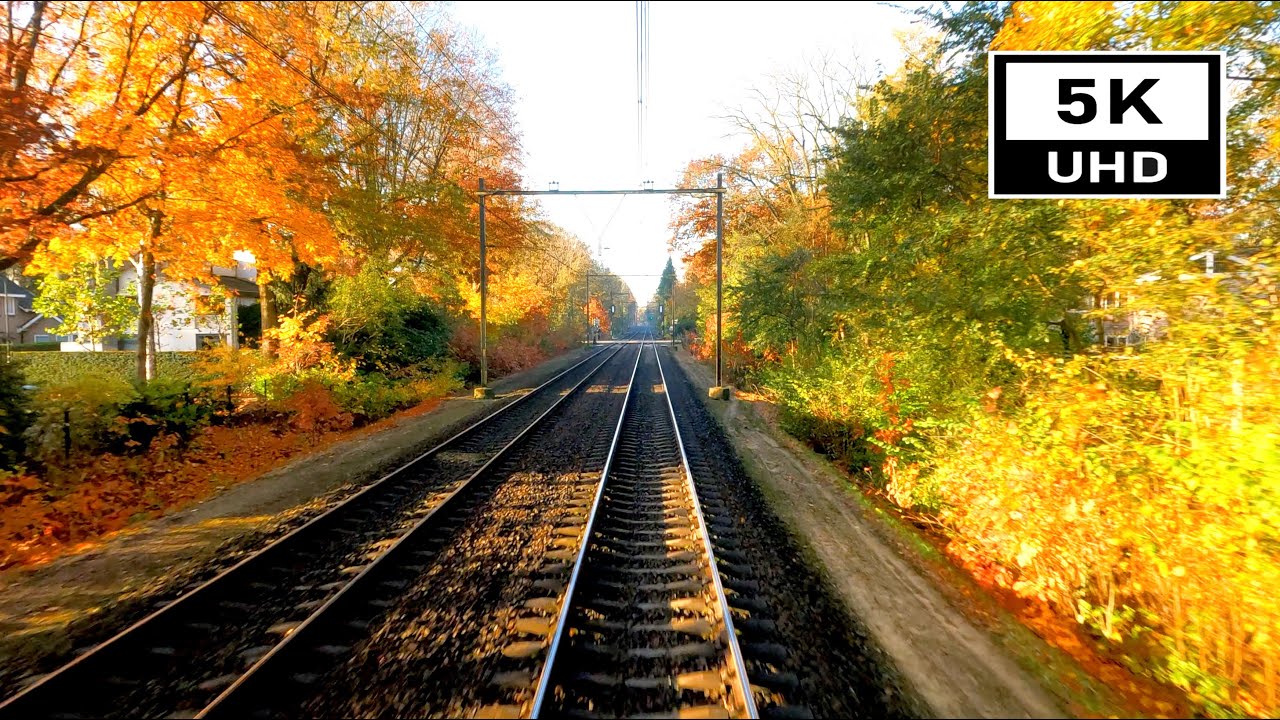 [5K/60fps] Fall season in the Netherlands: 's-Hertogenbosch - Roosendaal CABVIEW HOLLAND 10 nov 2021