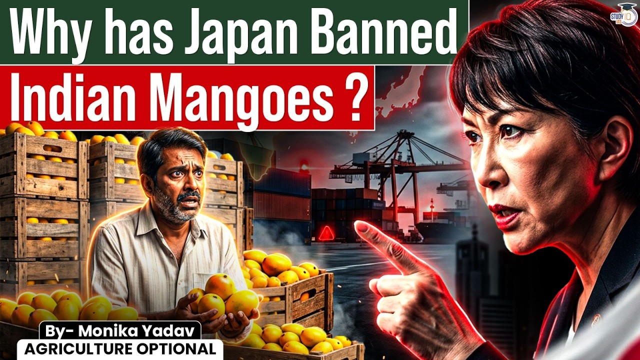 Why Did Japan Ban Indian Mangoes? The Real Reason Explained | Impact on India's Agricultural Exports