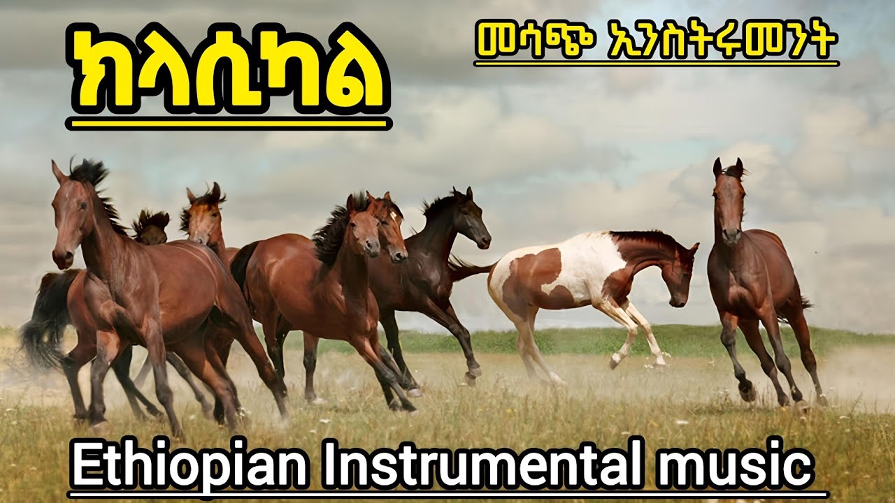 አዳዲስ የኢንስትሩመንት ክላሲካል ሙዚቃ ስብስቦች | New Instrumental Classical  music Non Stop
