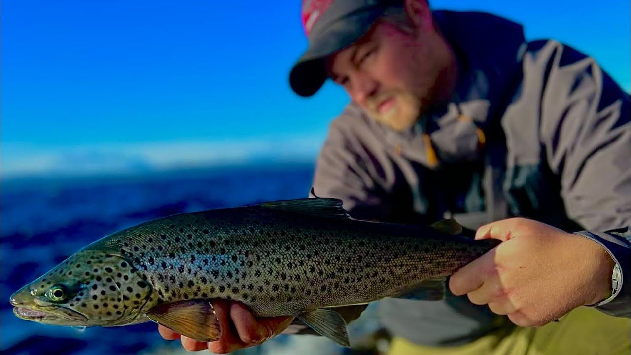 Jakten på storørreten i Mjøsa