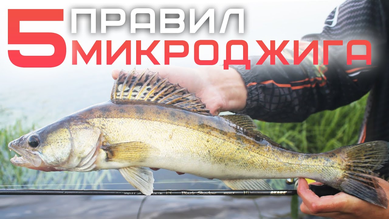 Ловля на МИКРОДЖИГ 2021/ 5 основных ПРАВИЛ / Спиннинг для начинающих
