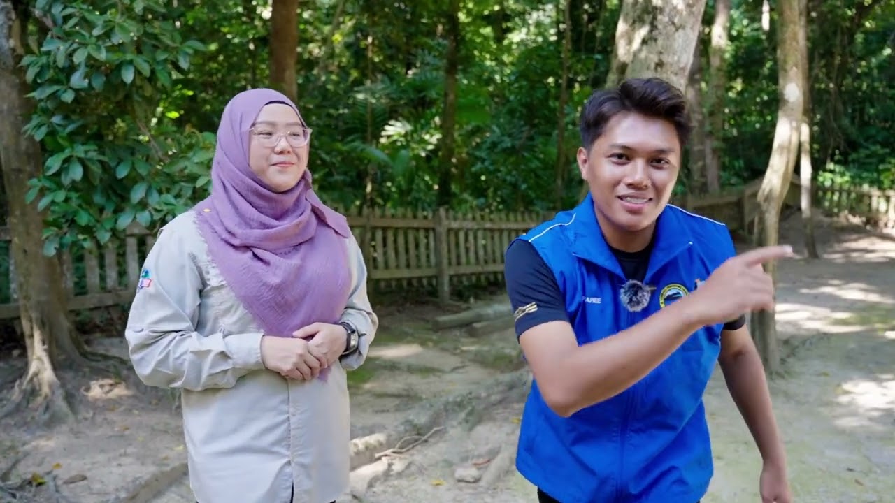 Wonders of Pulau Tiga Park: Unveiling The Mysteries: The Mangroves & Mud Volcano of Pulau Tiga Park