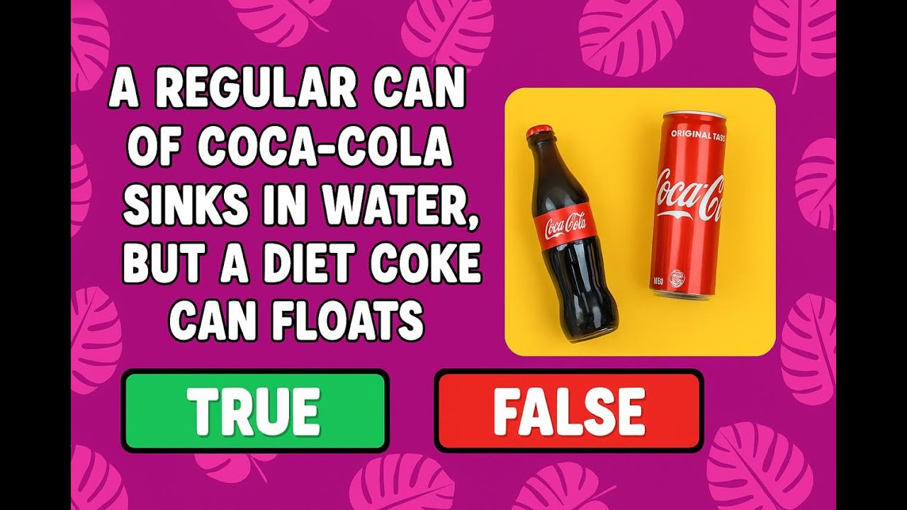 True or False General Knowledge Quiz - Questions and Answers - Trivia Questions