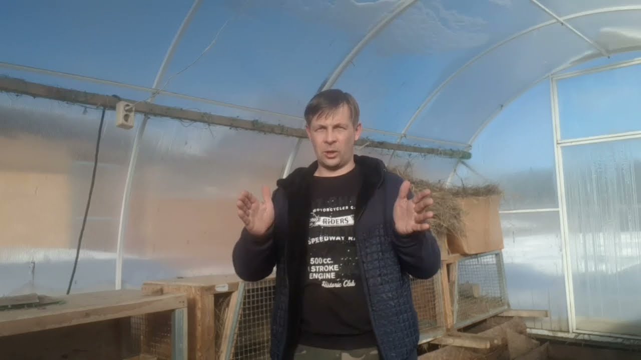 Этого кролика в книгу рекордов Гиннесса 😂
