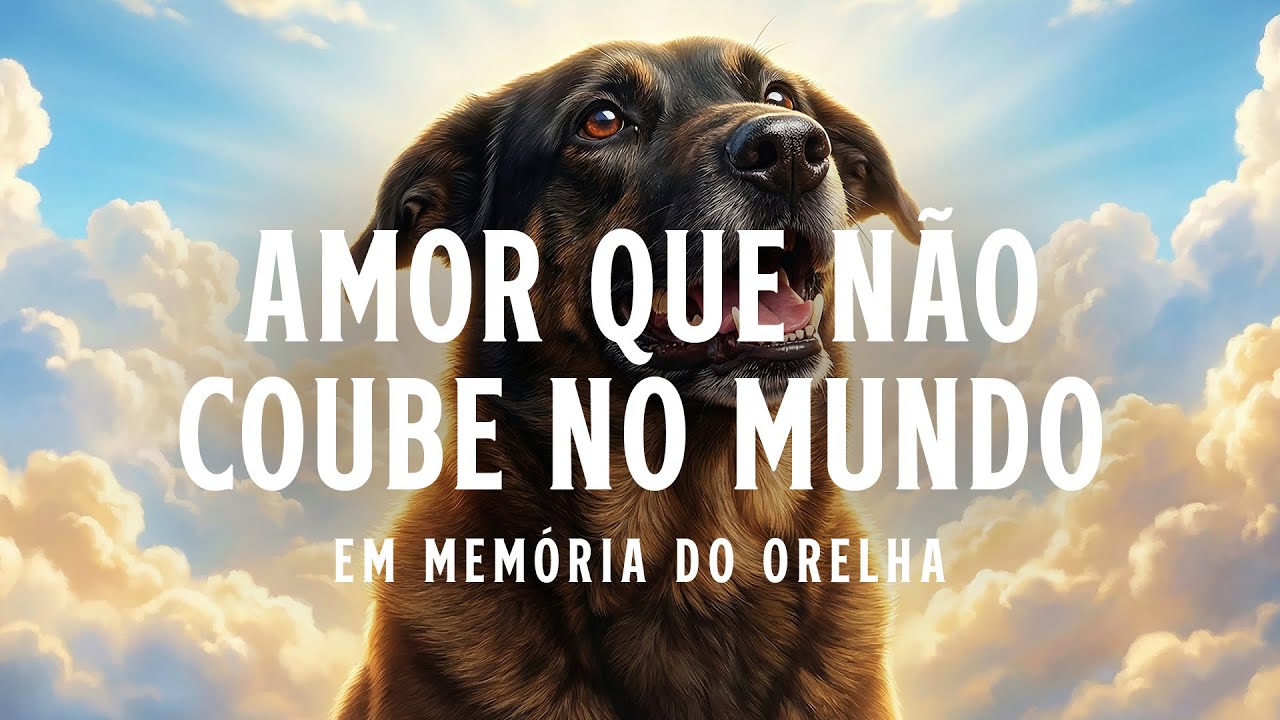 AMOR QUE NÃO COUBE NO MUNDO | Uma homenagem ao Orelha #musica #animais #cachorro #espiritualidade
